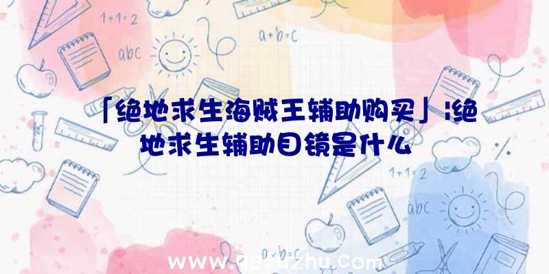 「绝地求生海贼王辅助购买」|绝地求生辅助目镜是什么